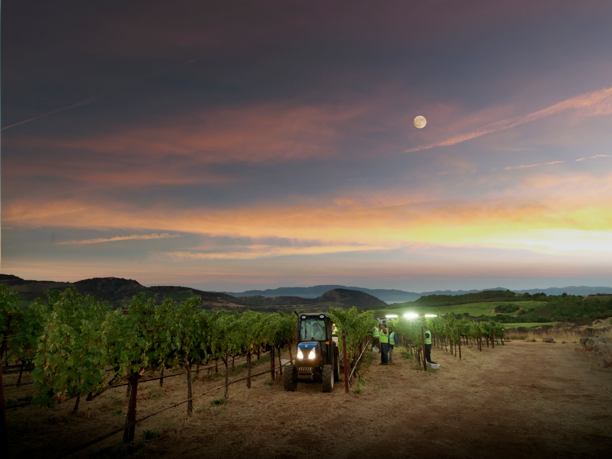Acumen Wines